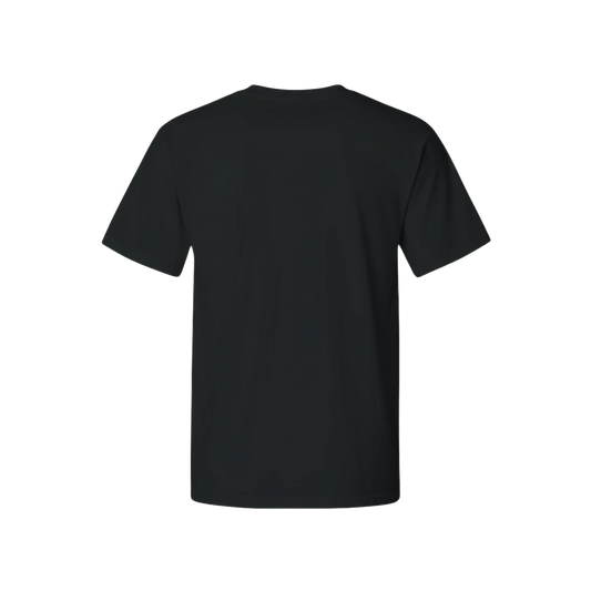 Comfort Colors C1717 heavyweight tee in Black
